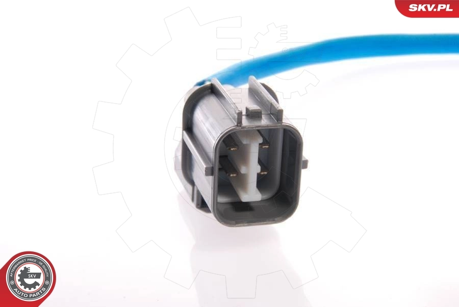 Oxygen Sensor